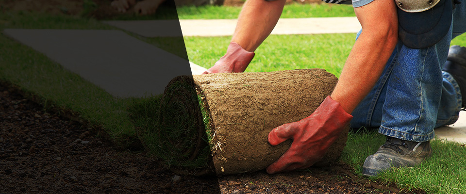 Kilgore Landscapers